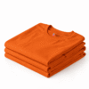 p3_summer_round_neck_tshirt_3